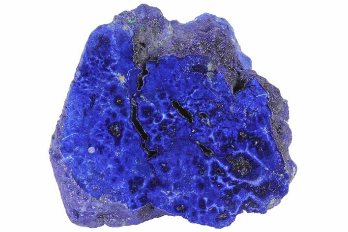 Vivid Blue, Cut/Polished Azurite Nodule - Siberia #94563